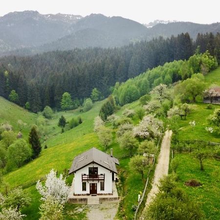 La Casuta Bran (Brasov) Exterior foto