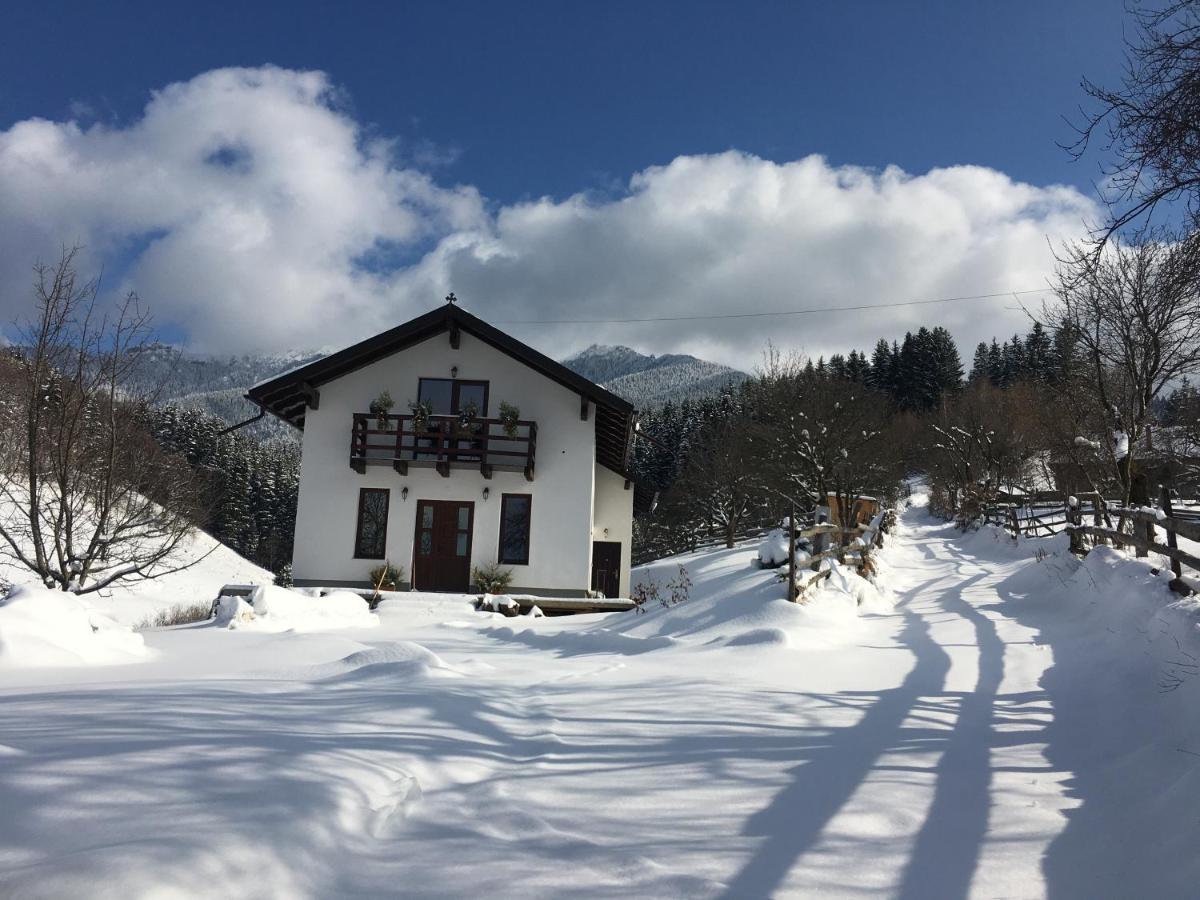 La Casuta Bran (Brasov) Exterior foto