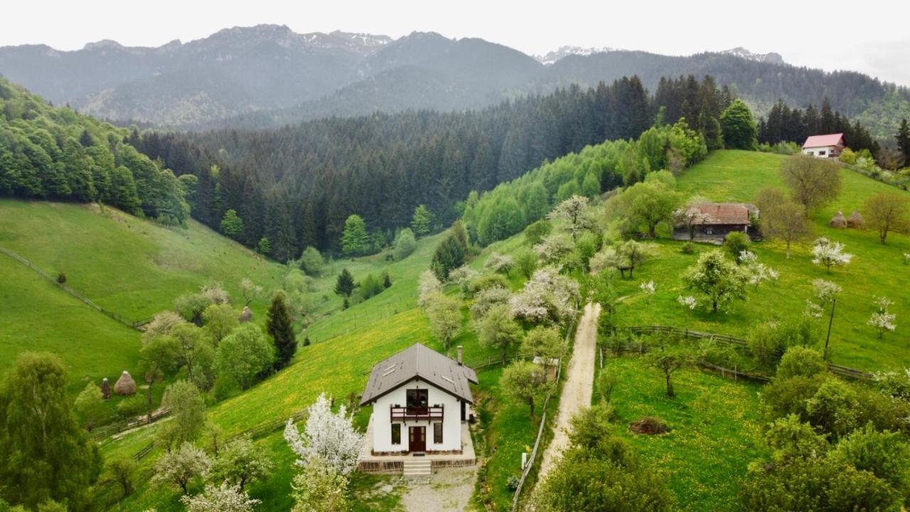 La Casuta Bran (Brasov) Exterior foto