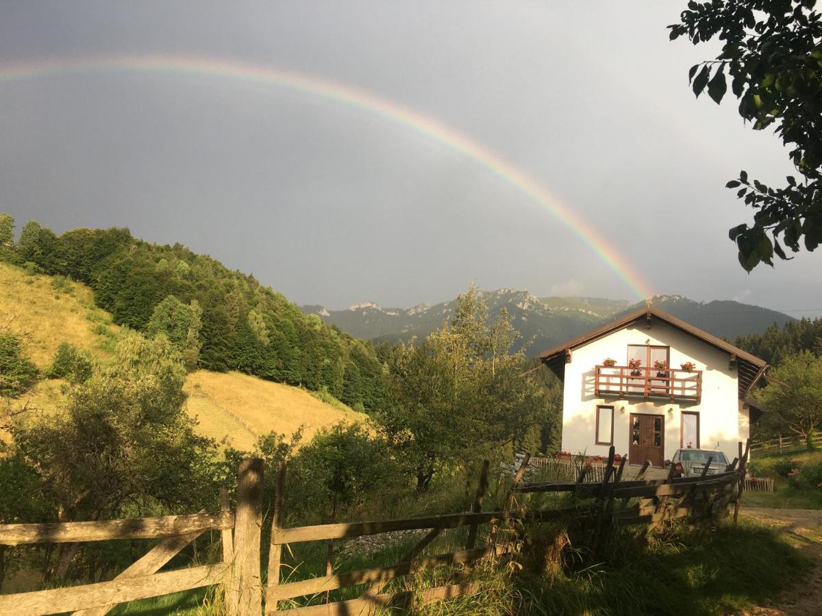 La Casuta Bran (Brasov) Exterior foto